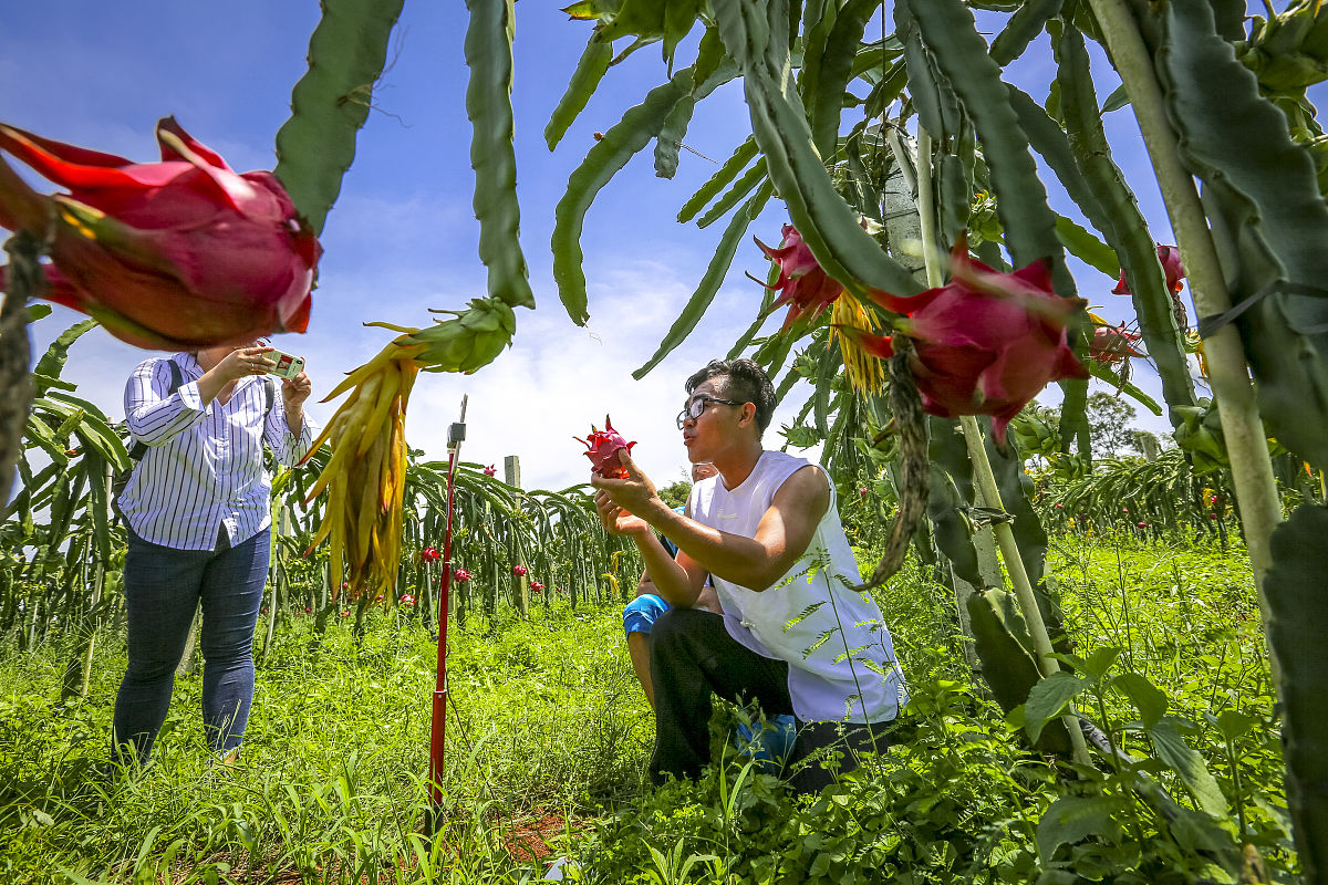 淘宝直播看点：如何开通？怎么玩转？