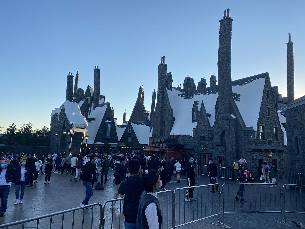 哈利波特人物介绍：从主角到反派，揭秘魔法世界人物群像