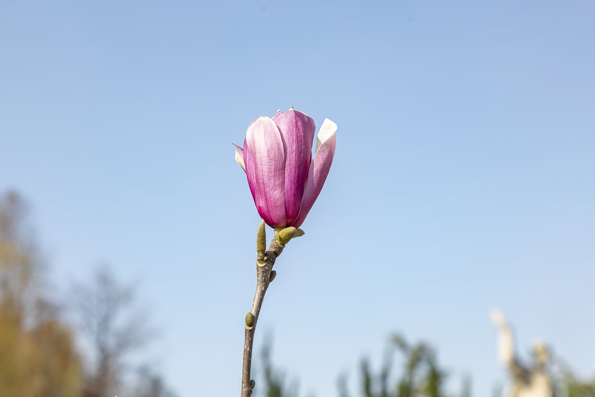 遵义卫生专业学校3+2学制就业好不好