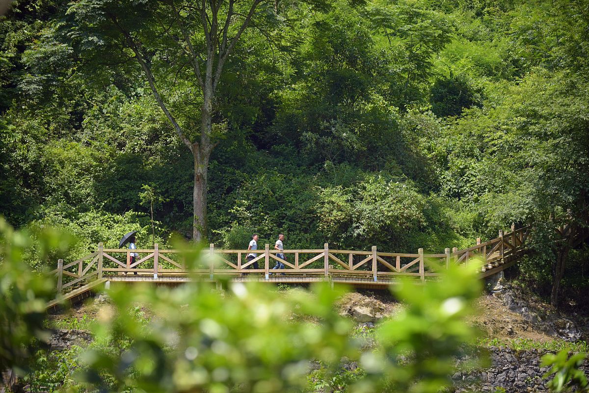 探秘森林公园：美景、野趣、无限乐趣