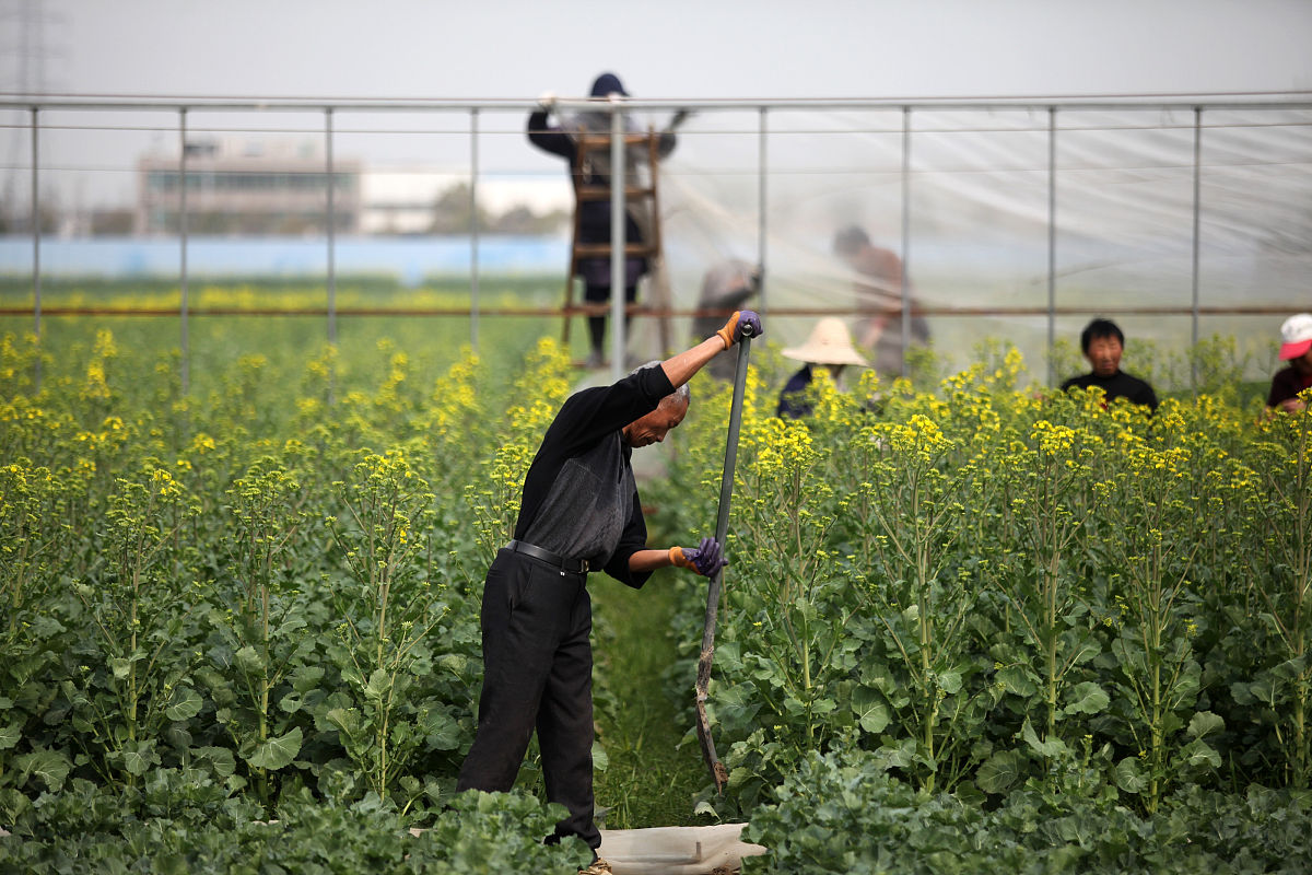 改成病虫害检测产品产品整体概念包含核心产品、有形产品、附加产品、期望产品和潜在产品五个层次。人 们通常理解的产品是指具有某种特定物质形状和用途的物品是看得见、摸得着的东西。这 是一种狭义的定义。而市场营销学认为广义的产品是指人们通过购买而获得的能够满足某 种需求和欲望的物品的总和它既包括具有物质形态的产品实体又包括非物质形态的利益。 本公司提供的精准垂直现代农业绿色生产公司服务门槛低质量有托底、更