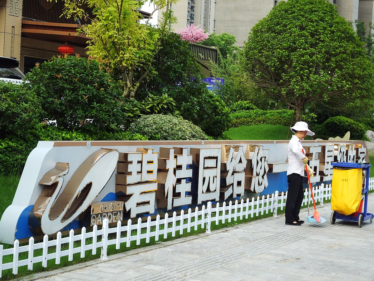 你了解碧桂园房产在中国近十年的发展状况吗？