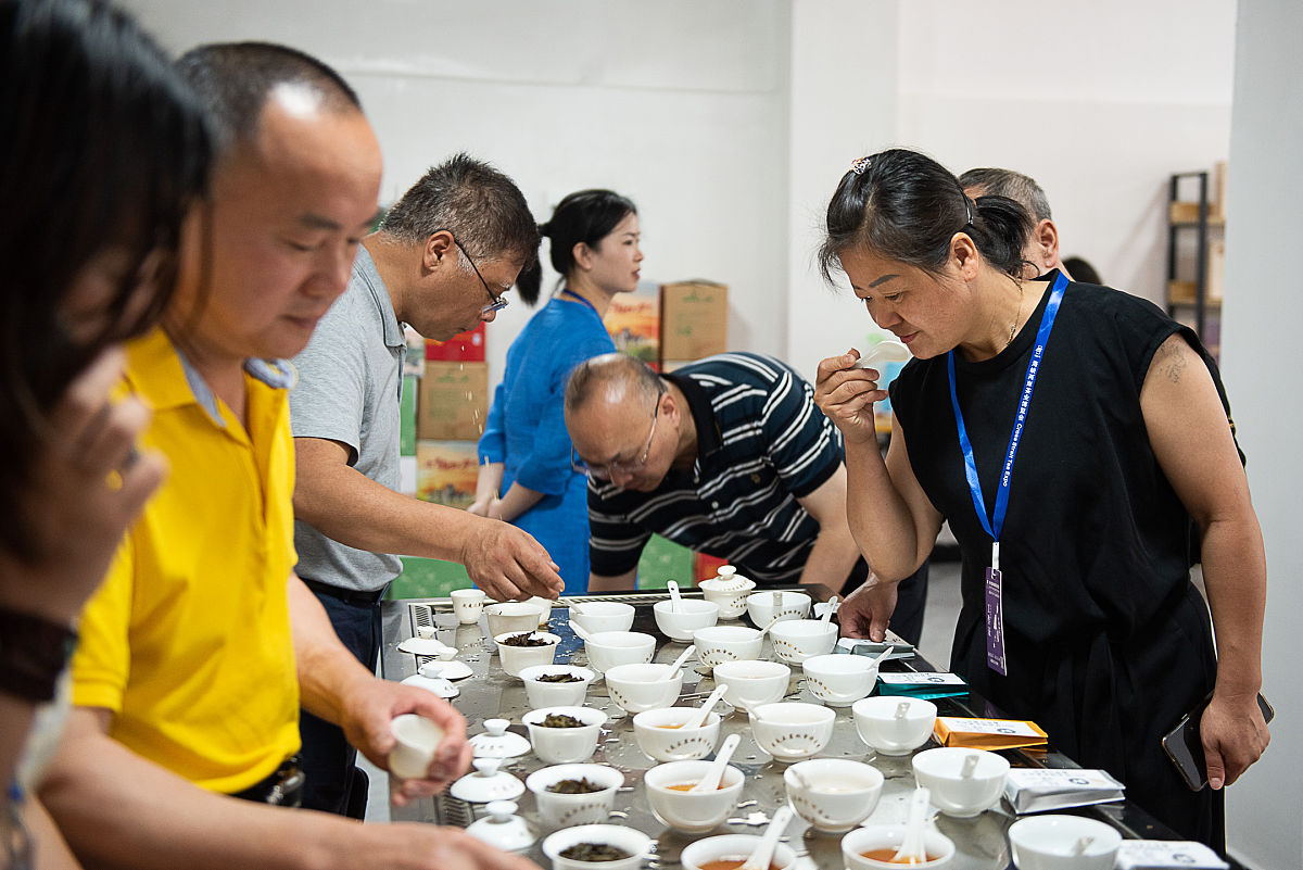 养生社会实践：提升健康水平，推动社会发展