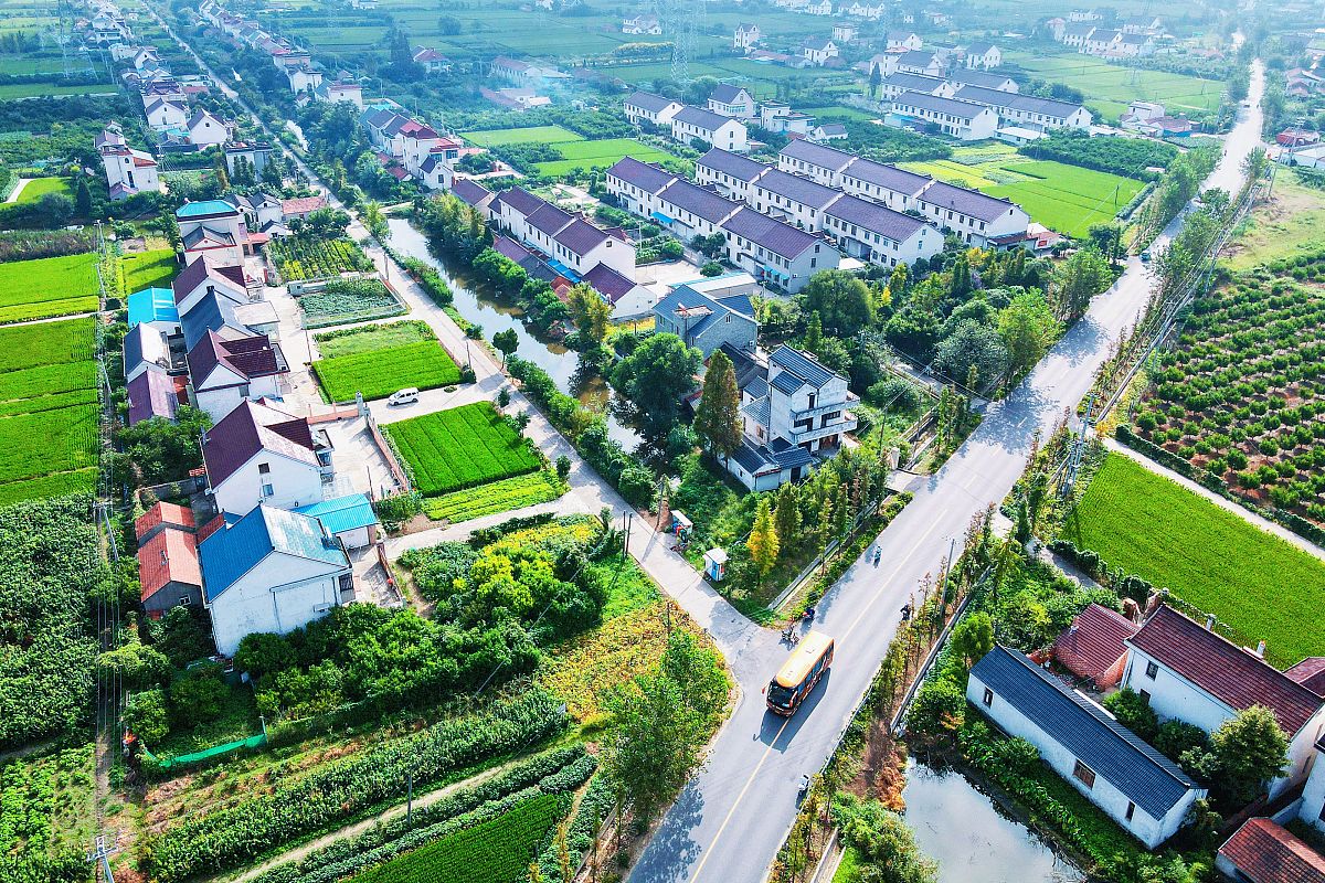 河北省实施乡村振兴战略中公共服务方面的内容写500字