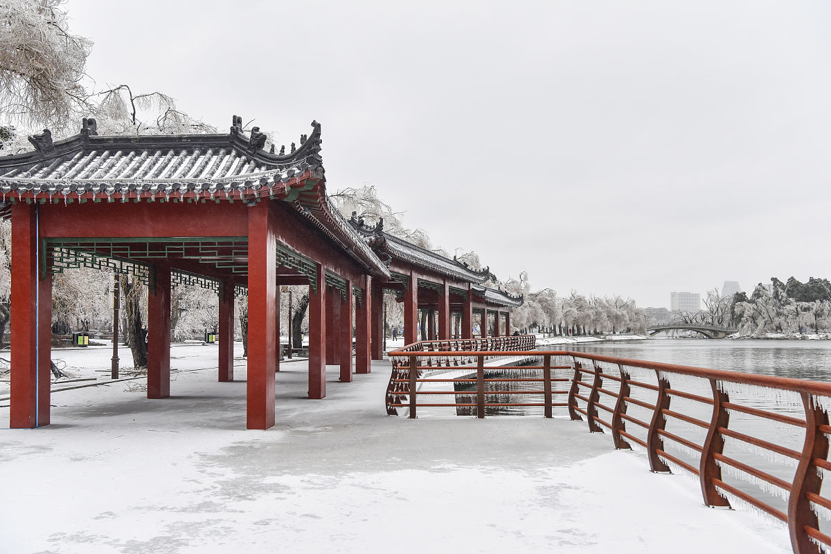 2020年11月20日,一场冻雨加大雪之后,长春整个城市变成水晶世界,南湖