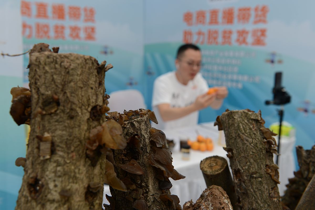 写一份天猫直播间流程脚本详细包括主播话术以及每一步的流程