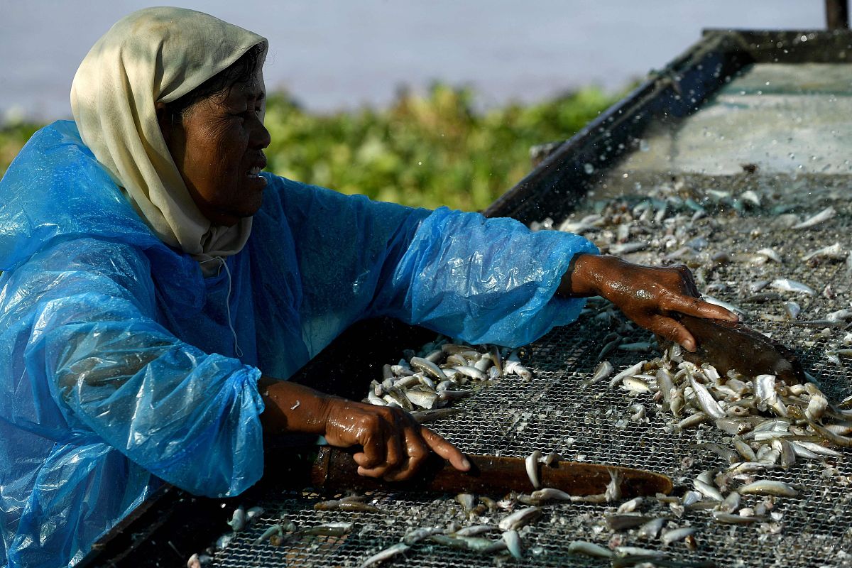 青岛海洋高级技工学校水产养殖专业怎么样？