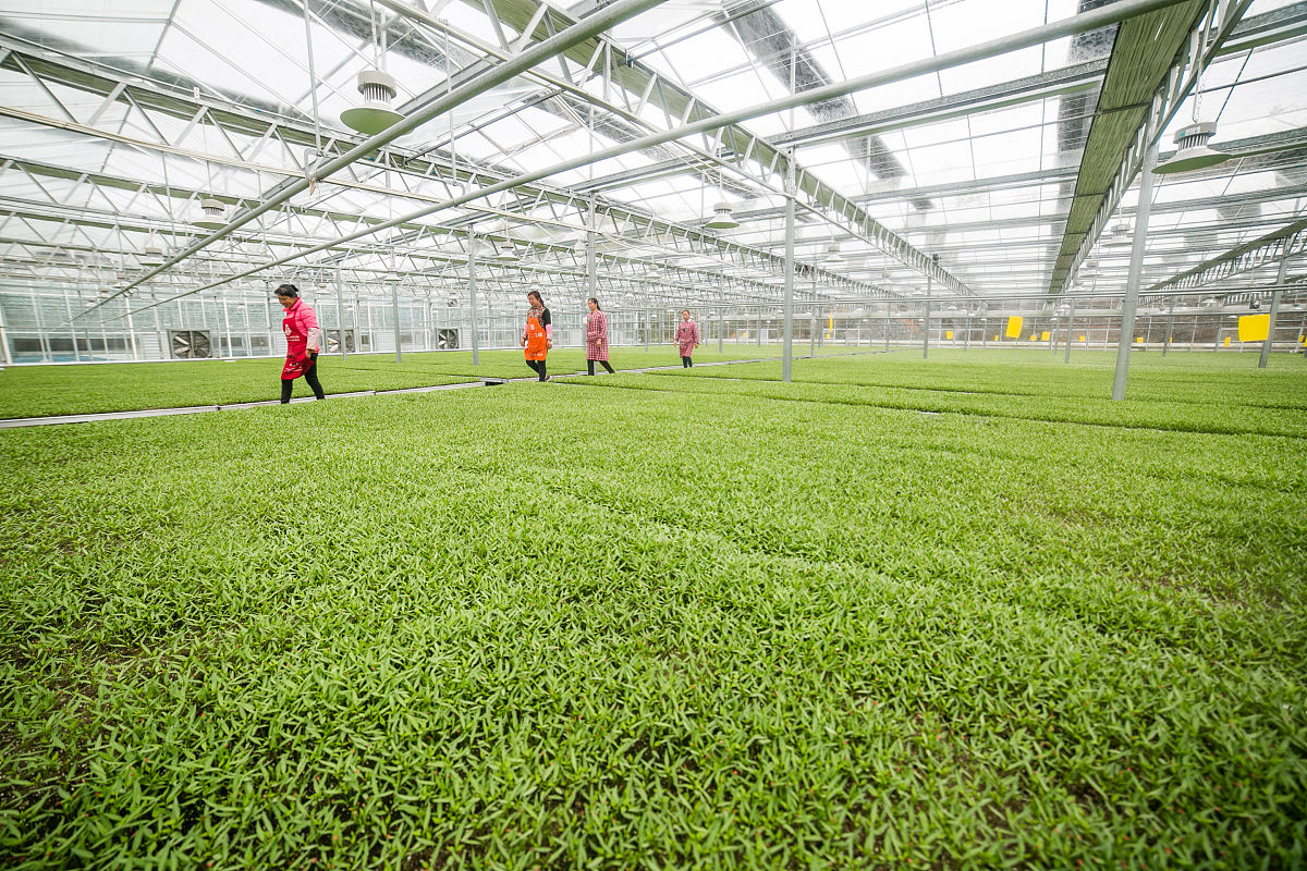 毕节市求助热线：您的贴心帮手