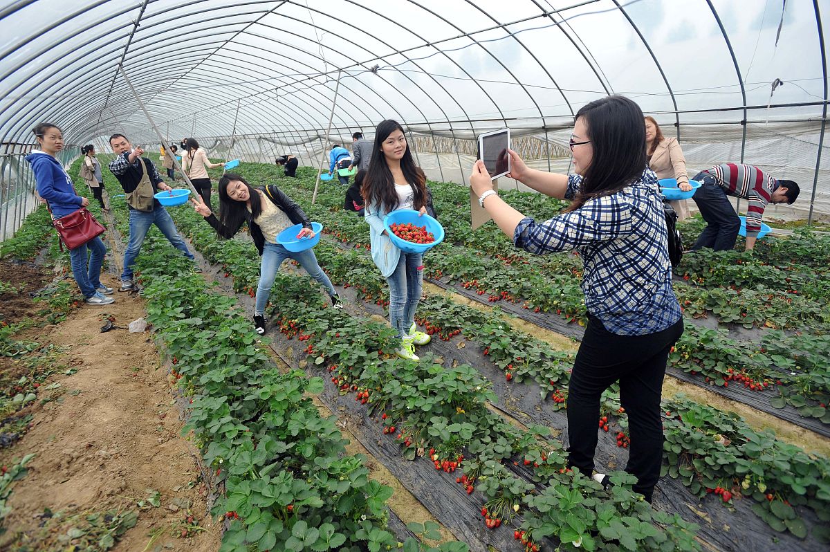 培养农科素养，强农必定有我：学生如何投身农业发展