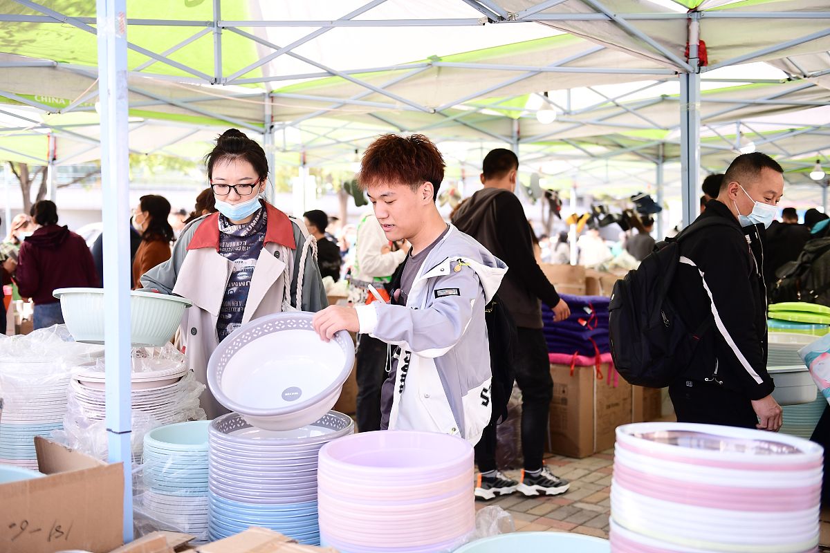 沈阳工业大学法学专业怎么样？师资、课程、就业前景全解析