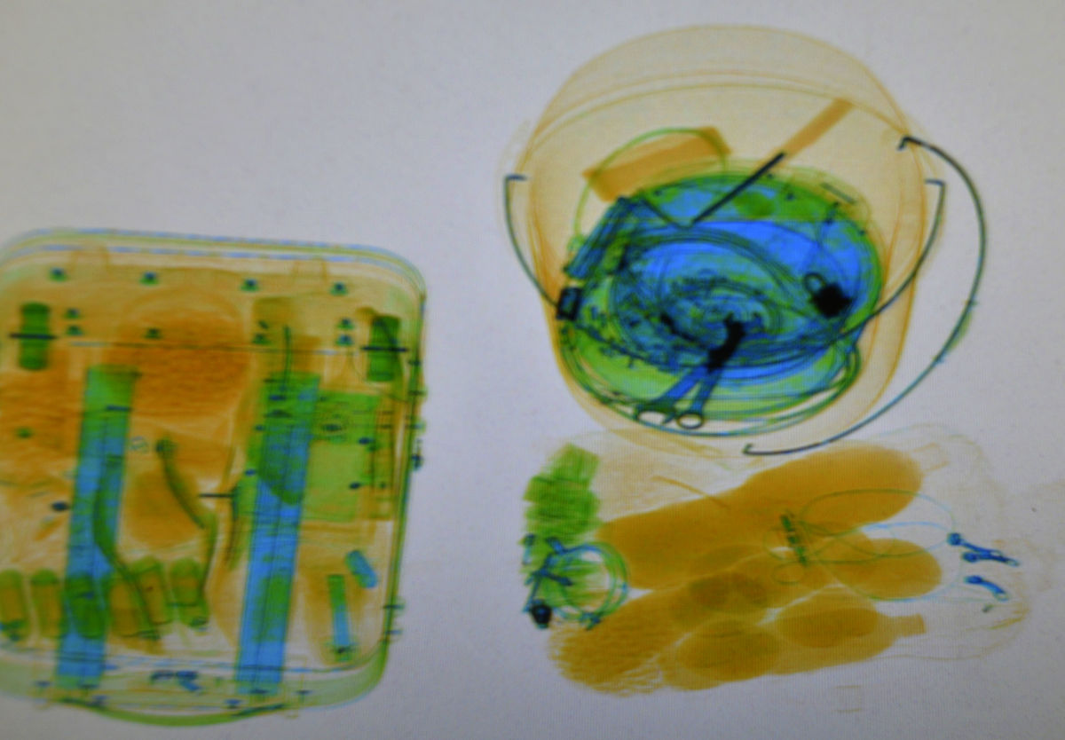 什么部位不能作为外植体进行植物组织培养