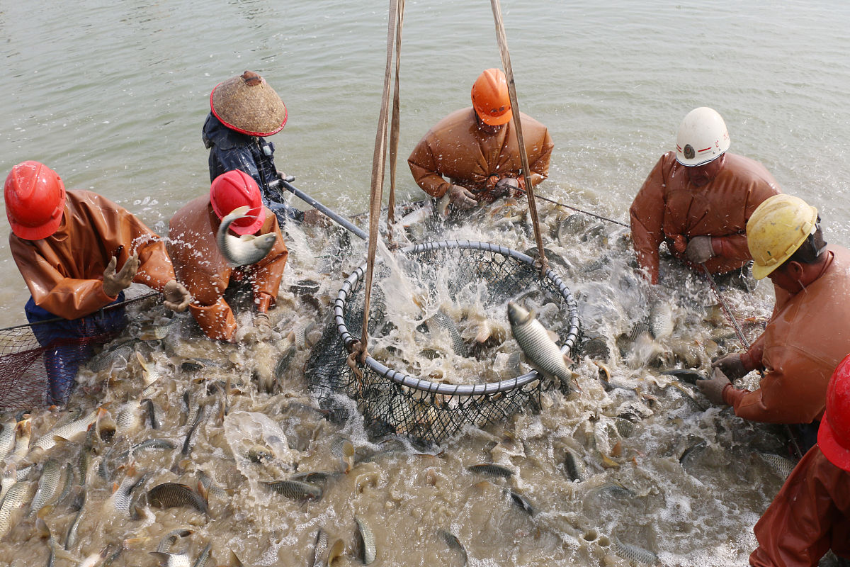 广西水产畜牧学校教育层次：本科、专科、中专及职业技能培训