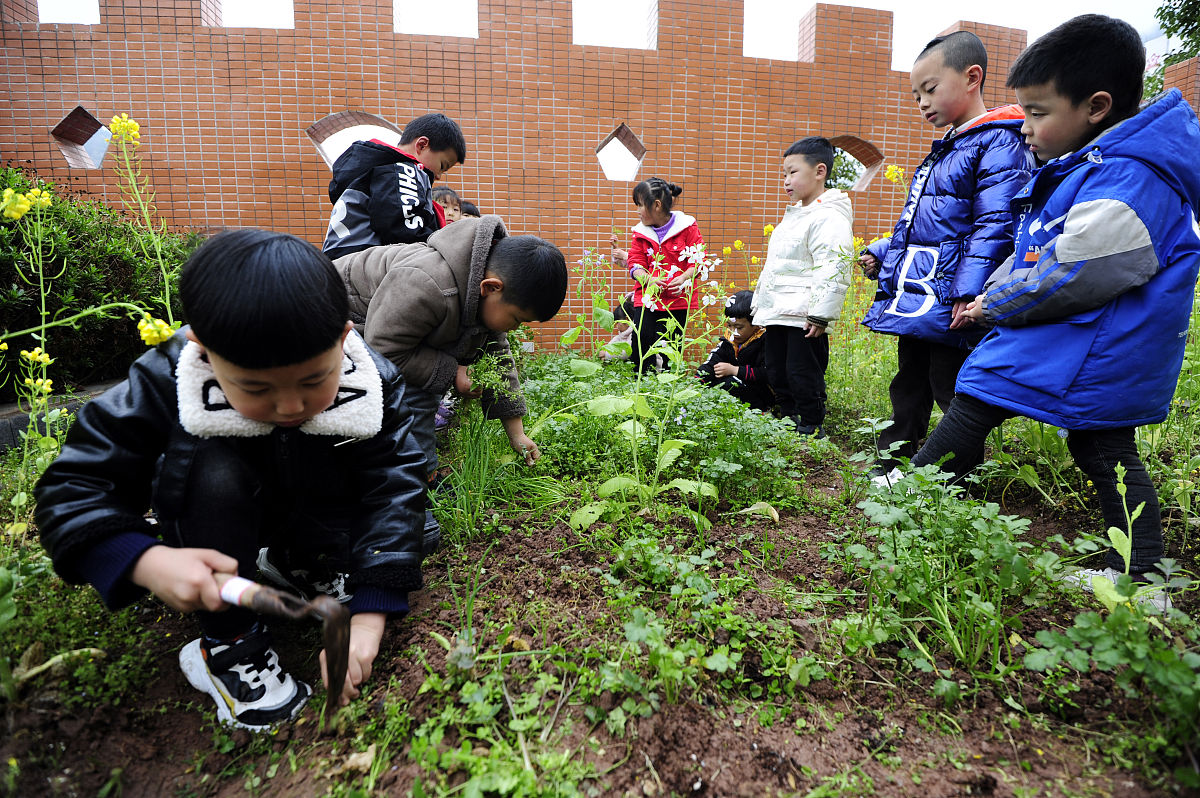 重庆幼儿师范学校专业怎么样