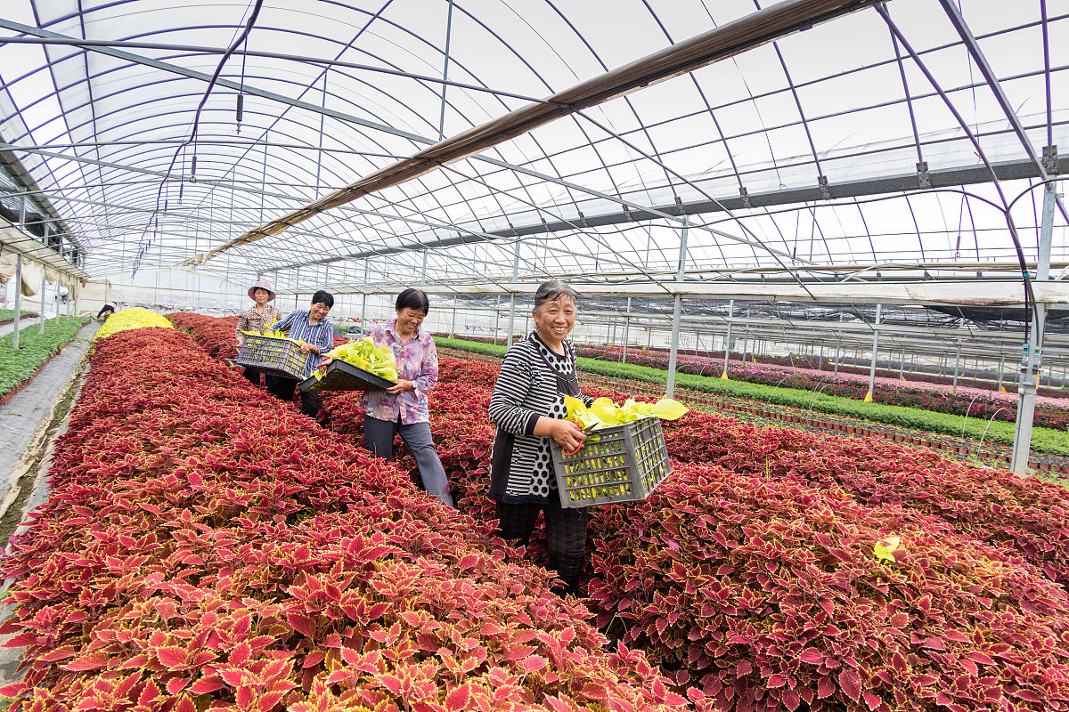 楚雄农业学校果蔬花卉生产技术专业怎么样