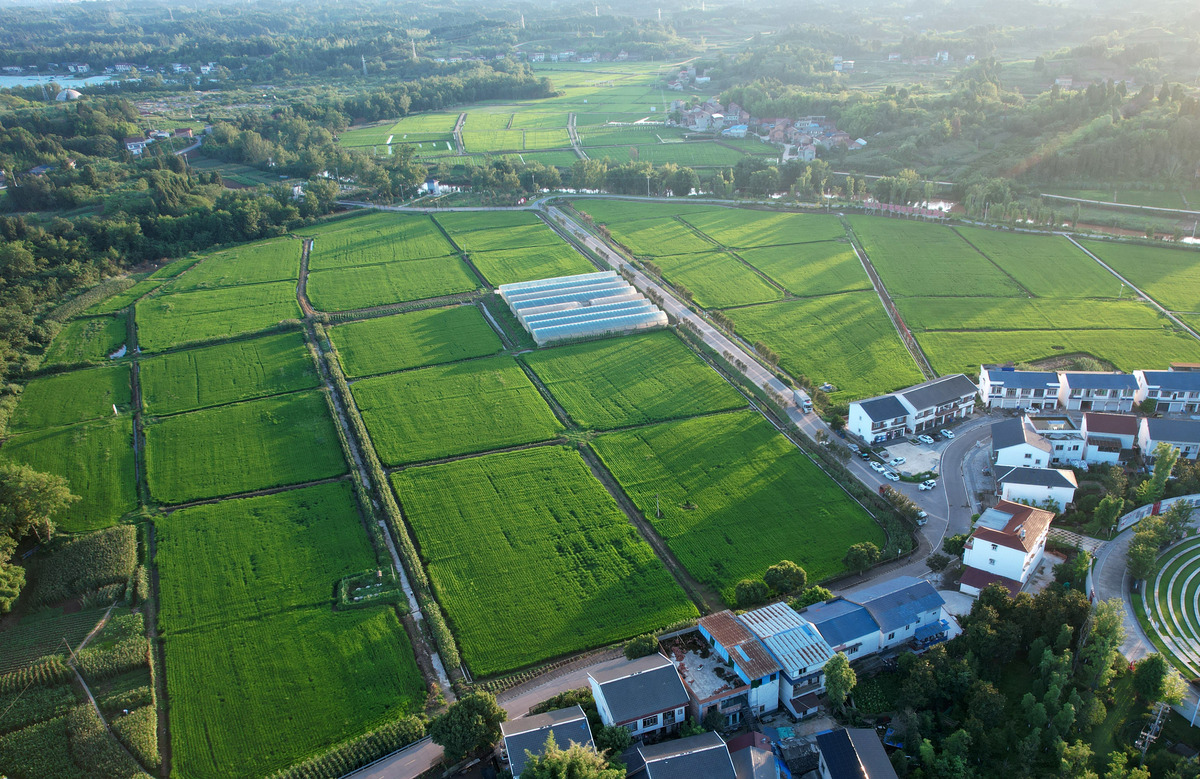 良好生态如何促进经济发展