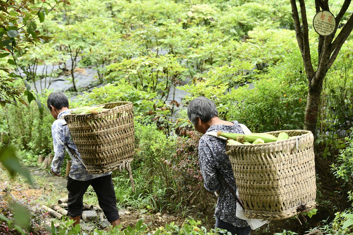 绥阳中等职业学校2020招生简章