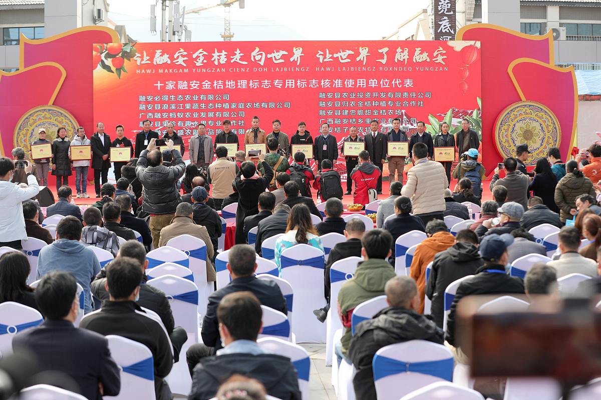 在乡镇荷尖人才表彰大会上的领导1200字发言稿