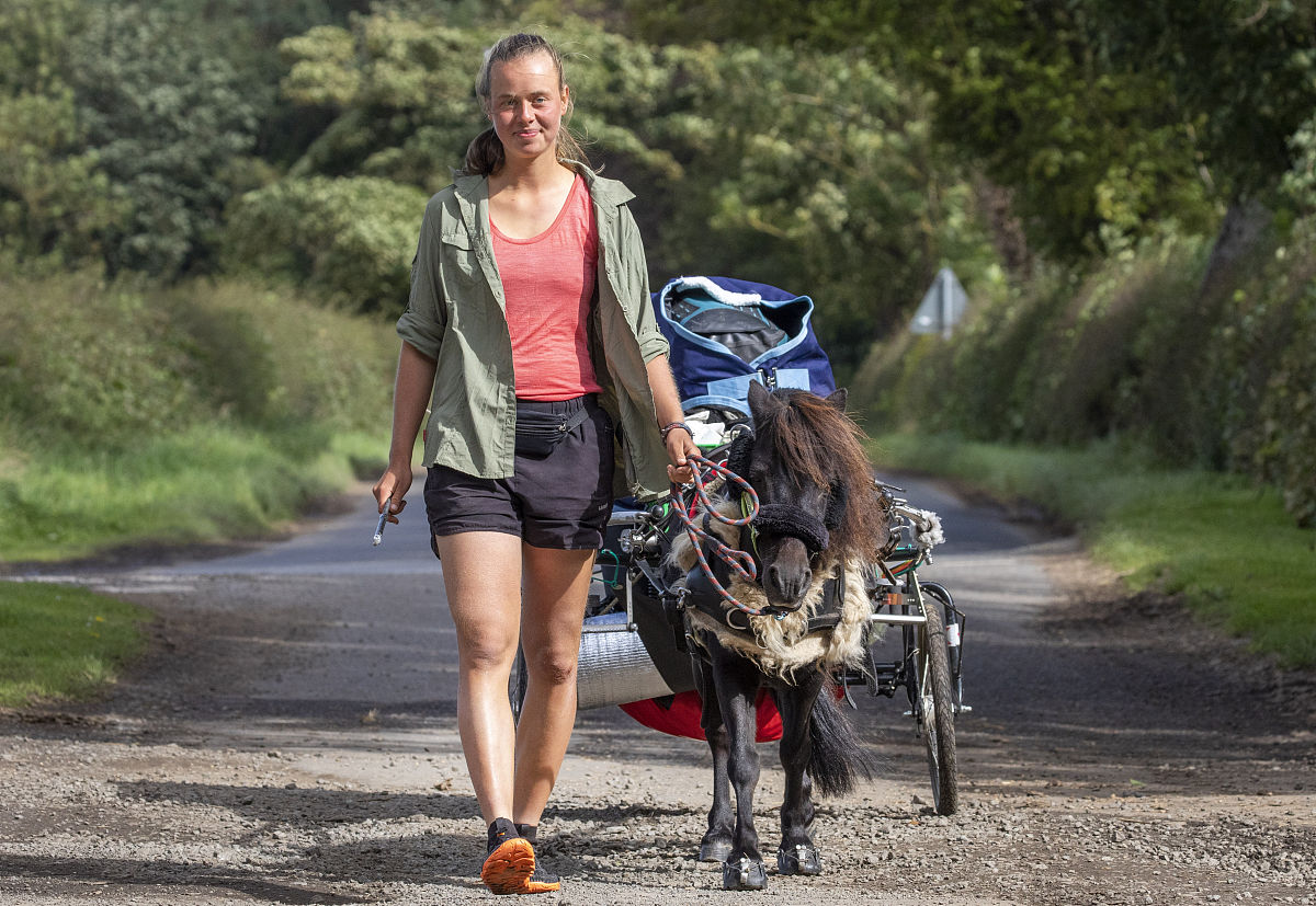 本科毕业设计（论文）网络化管理模式探讨：问题与趋势