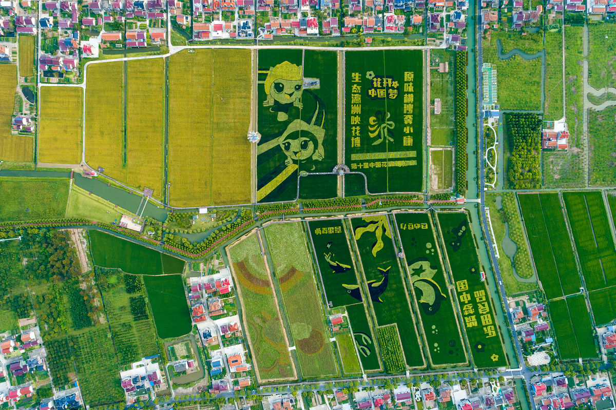 上海外国语师范大学贤达经济人文学院崇明校区2023年分数线