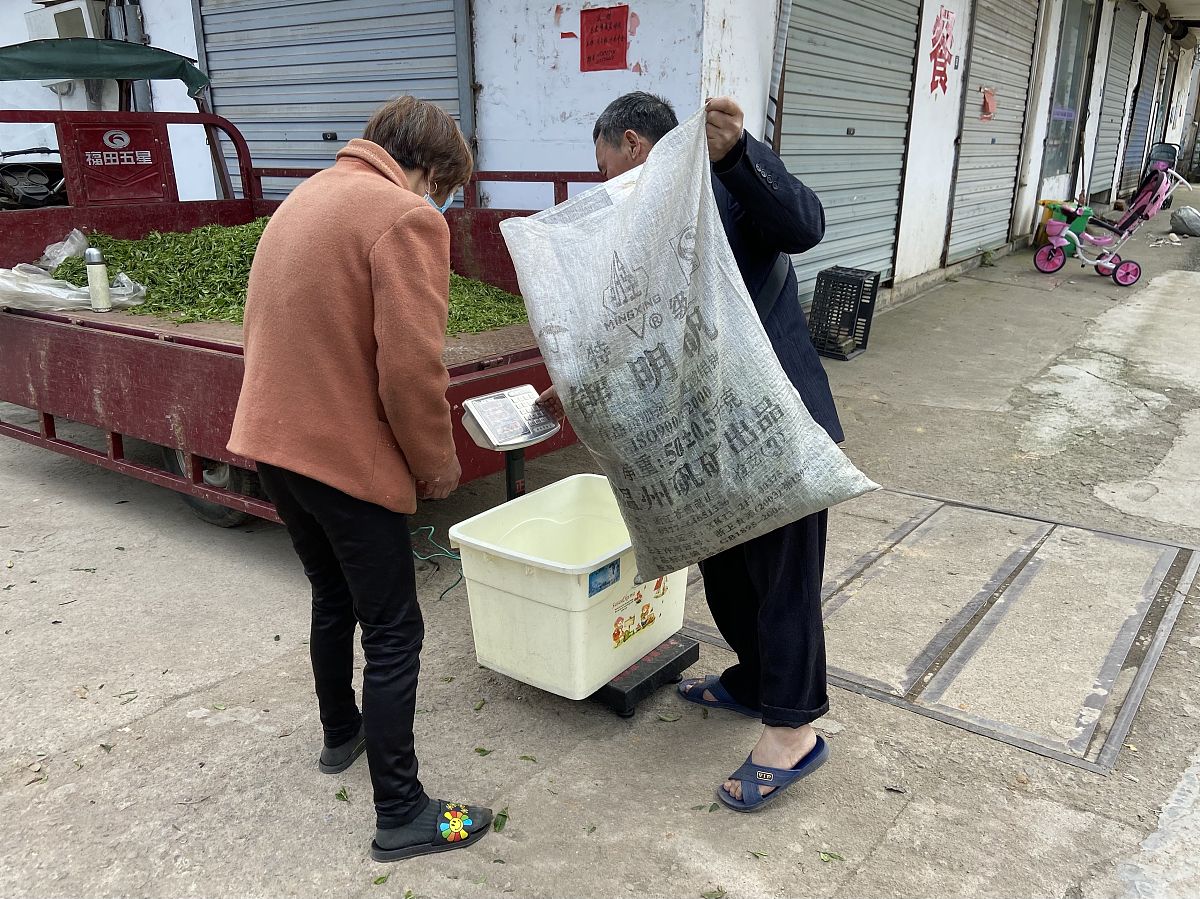 长三角一体化发展考察总结