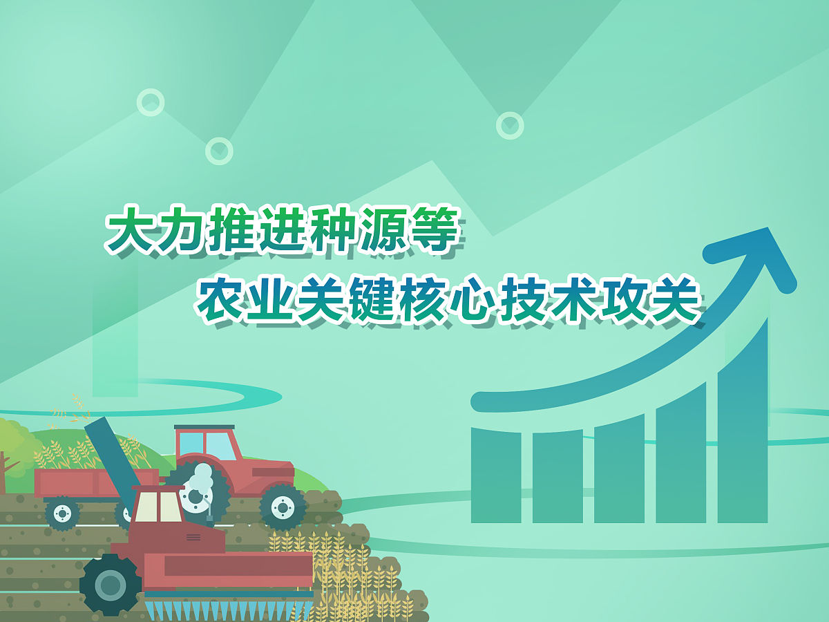 党在社会主义建设的初级阶段取得了那些重要成果
