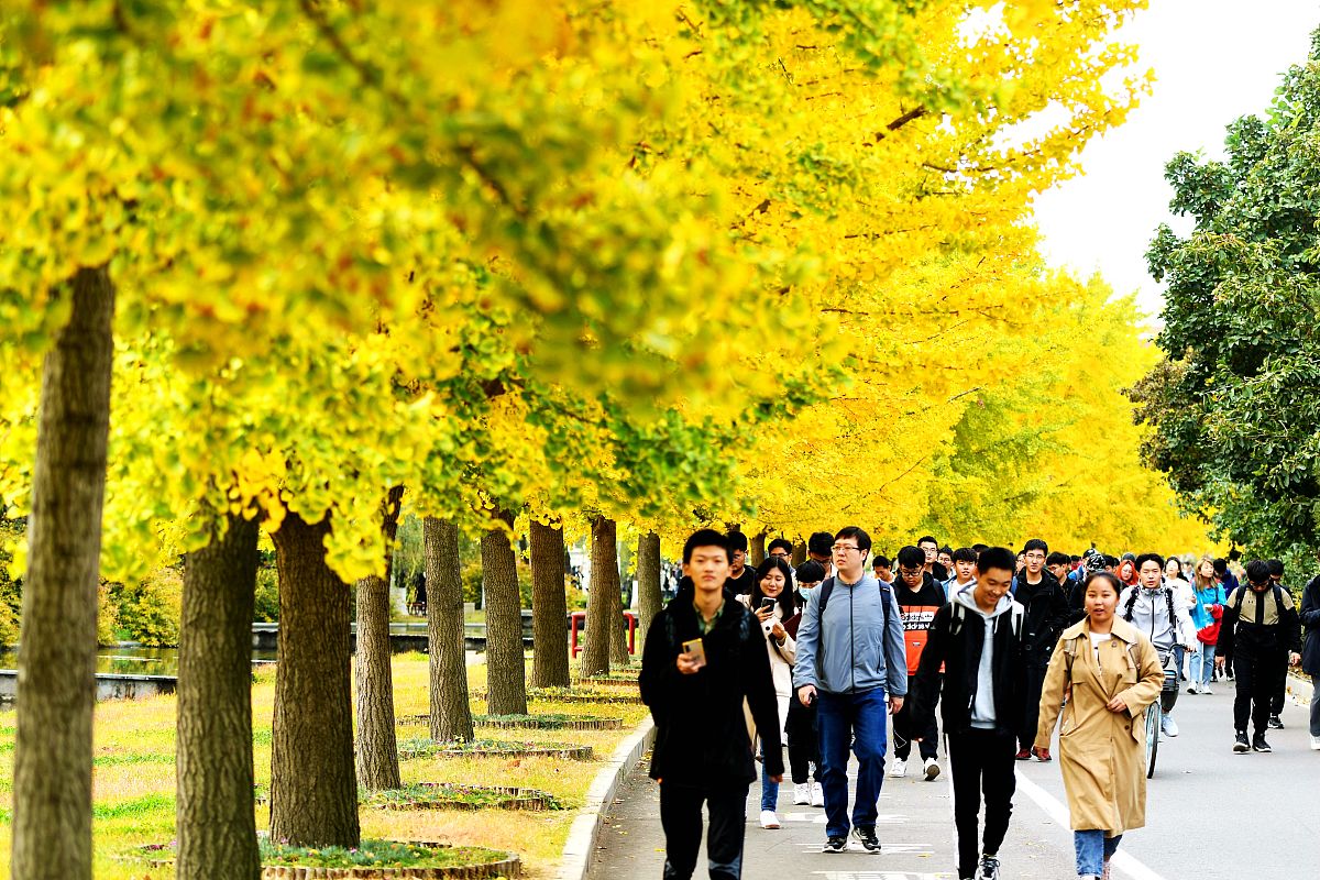 青岛平度扬帆职业学校升学率怎么样？有哪些升学途径？