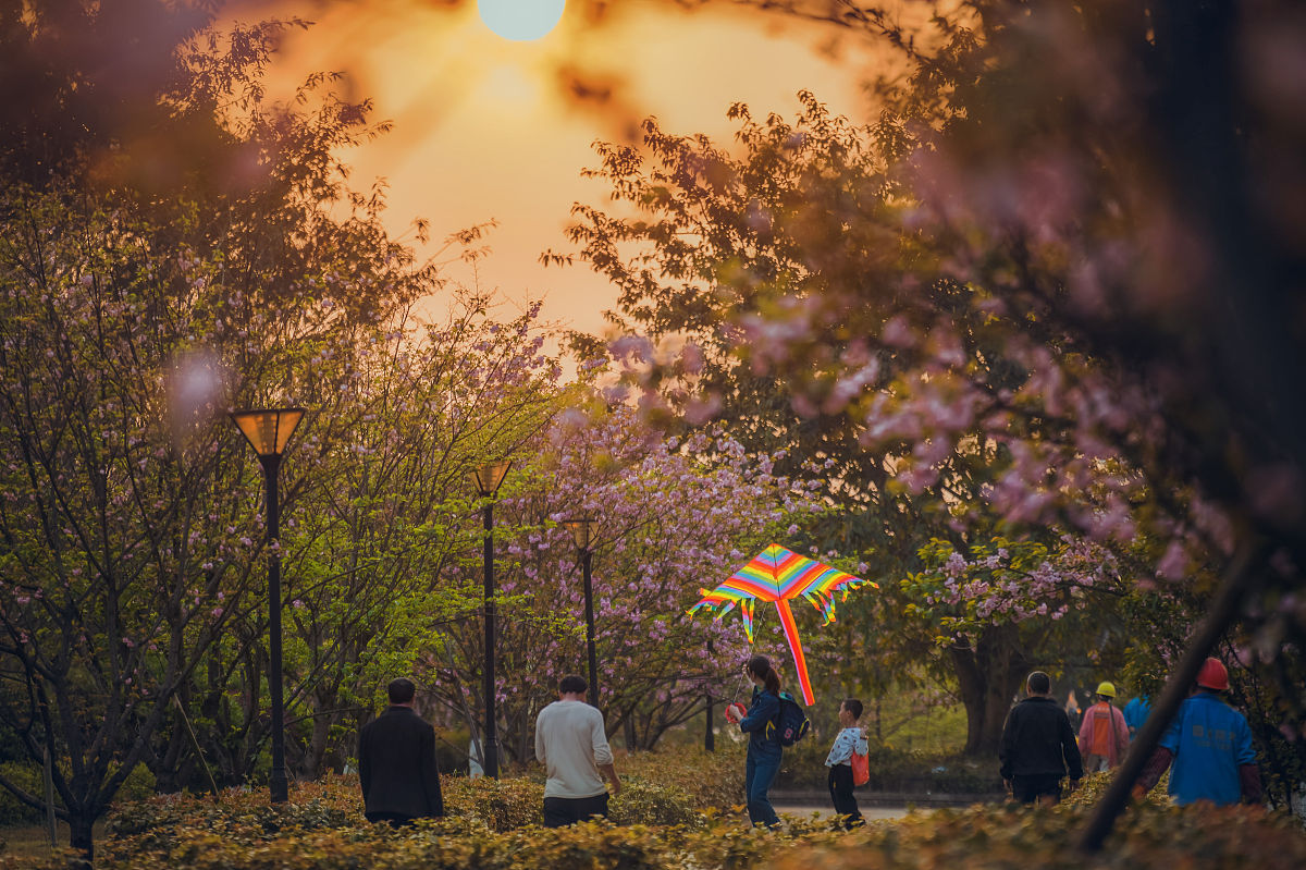 云南外事外语学院的外语航空学院专业有哪些？