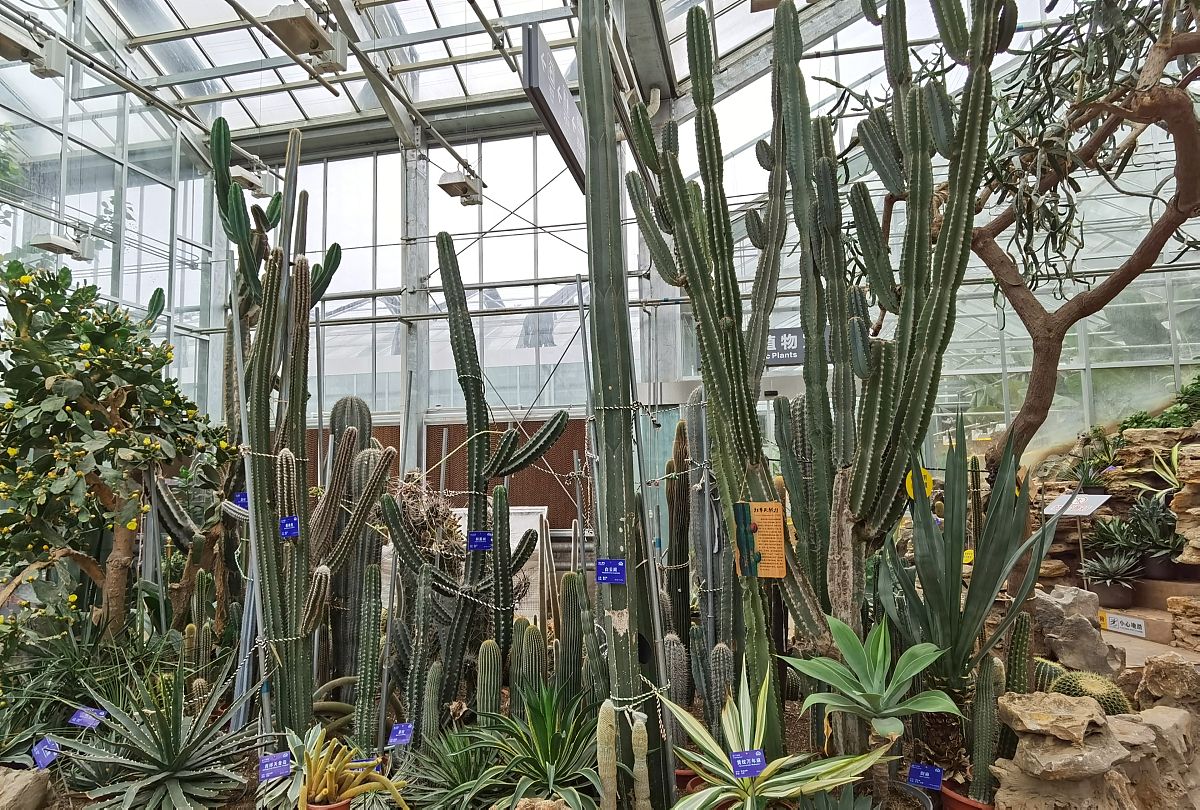 什么是有组织科研？在哪个文件里有有组织科研的表述？