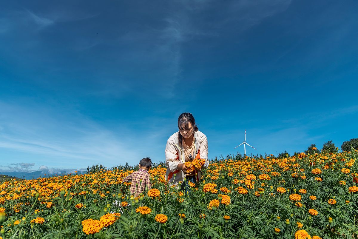 红河高中女生毕业后读什么中专学校好？