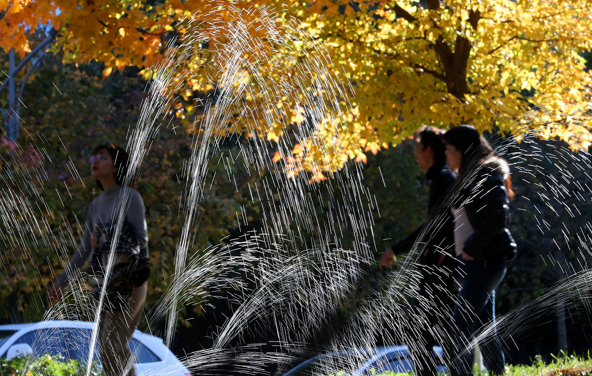 昆明有哪些幼师学校招生有几个