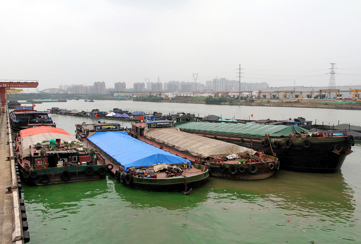 湄洲湾职业技术学院港口物流设备与自动控制专业怎么样？就业前景如何？