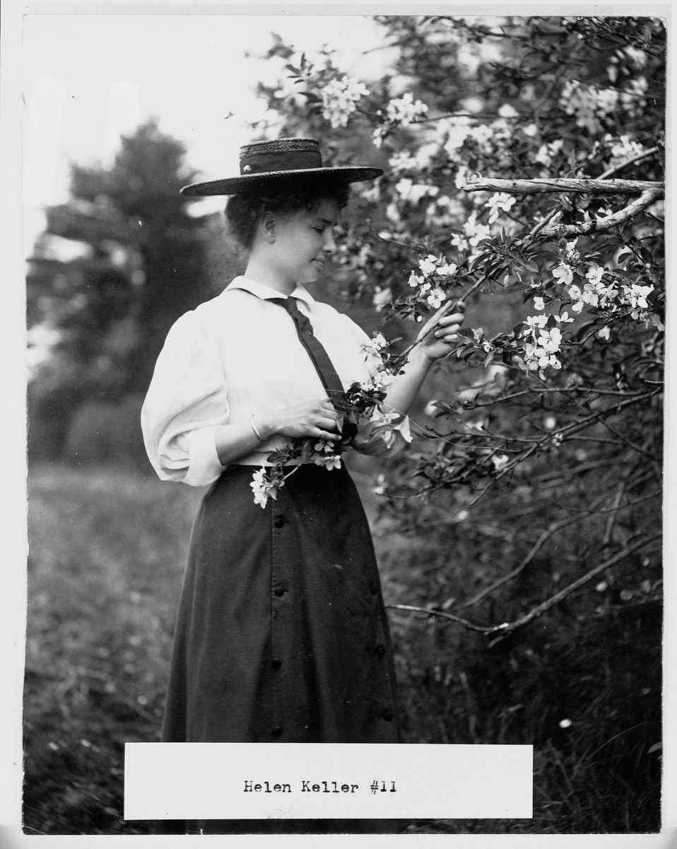 帮我写《假如给我三天光明》中的十句金句