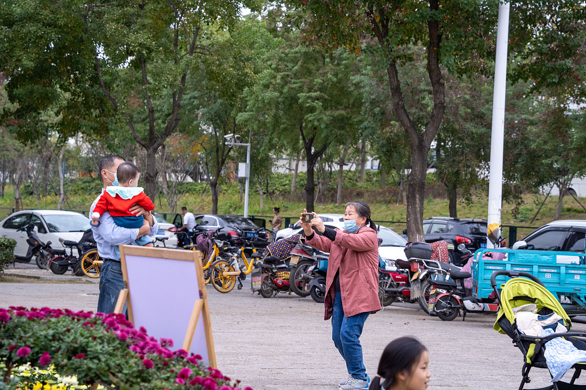 2021年11月1日,市民在武汉市东西湖区码头潭公园赏菊.