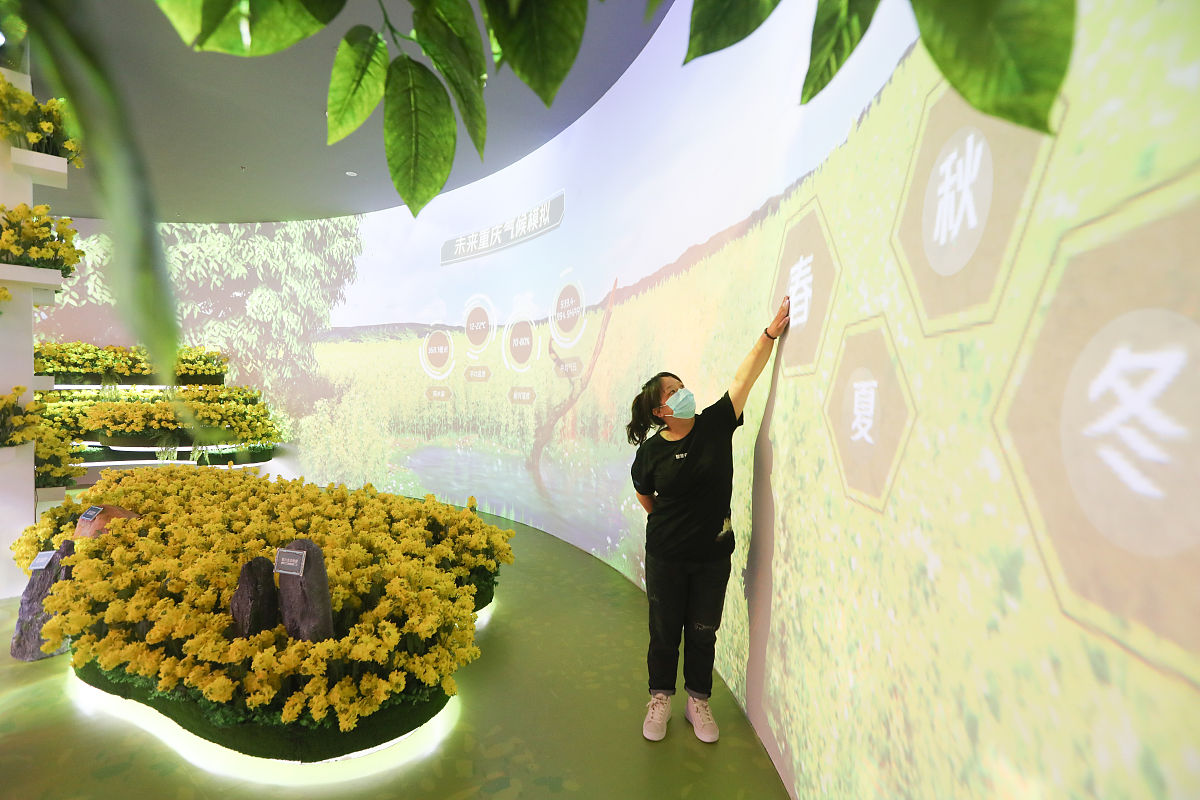 恩施信息技术学校2023有哪些专业