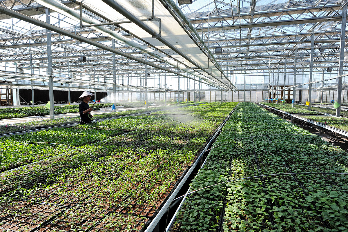 曲靖农业职业学院2019年五年制招生报名电话