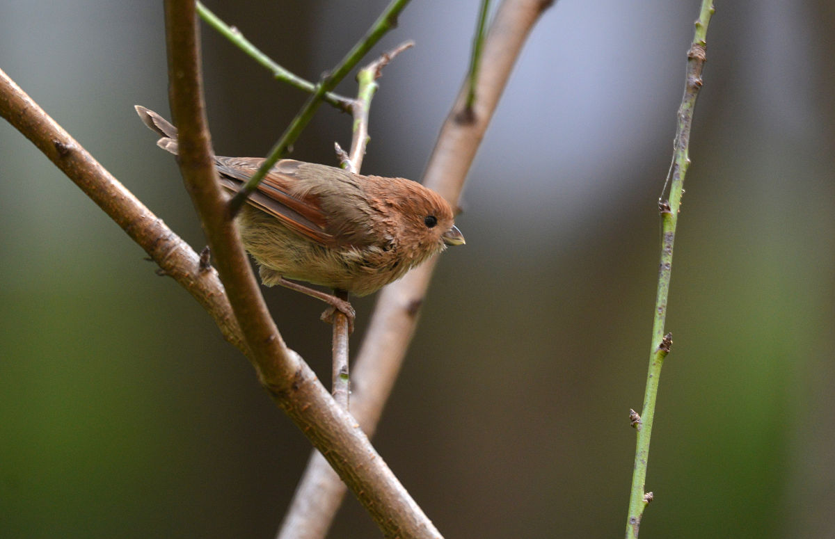 六安市金安职业学校2021年招生简章