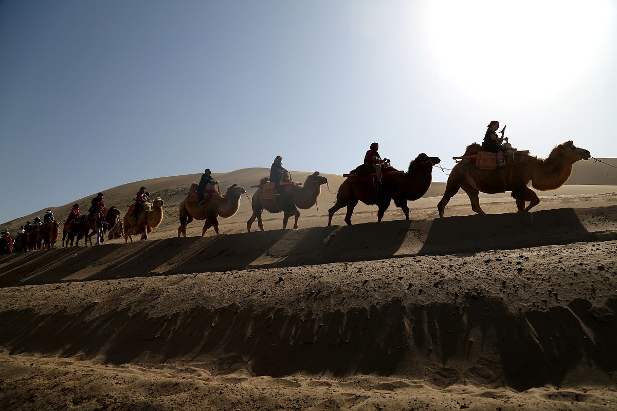 以为什么在河西走廊旅行时明明感觉此地很荒凉却能体验到一种「历史的厚重感」？为题写一篇文章1200字重新编写标题