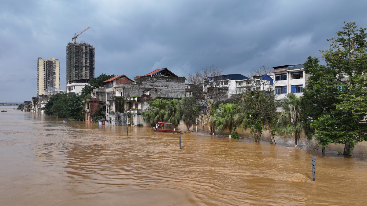 增城区暴雨频发，洪涝灾害严重影响城市发展