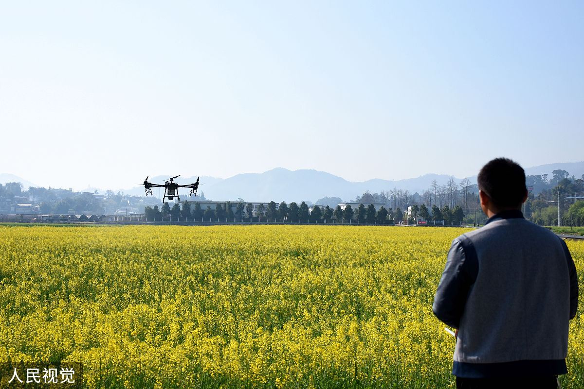 保山市学校招生专业有哪些？热门专业介绍及未来发展方向