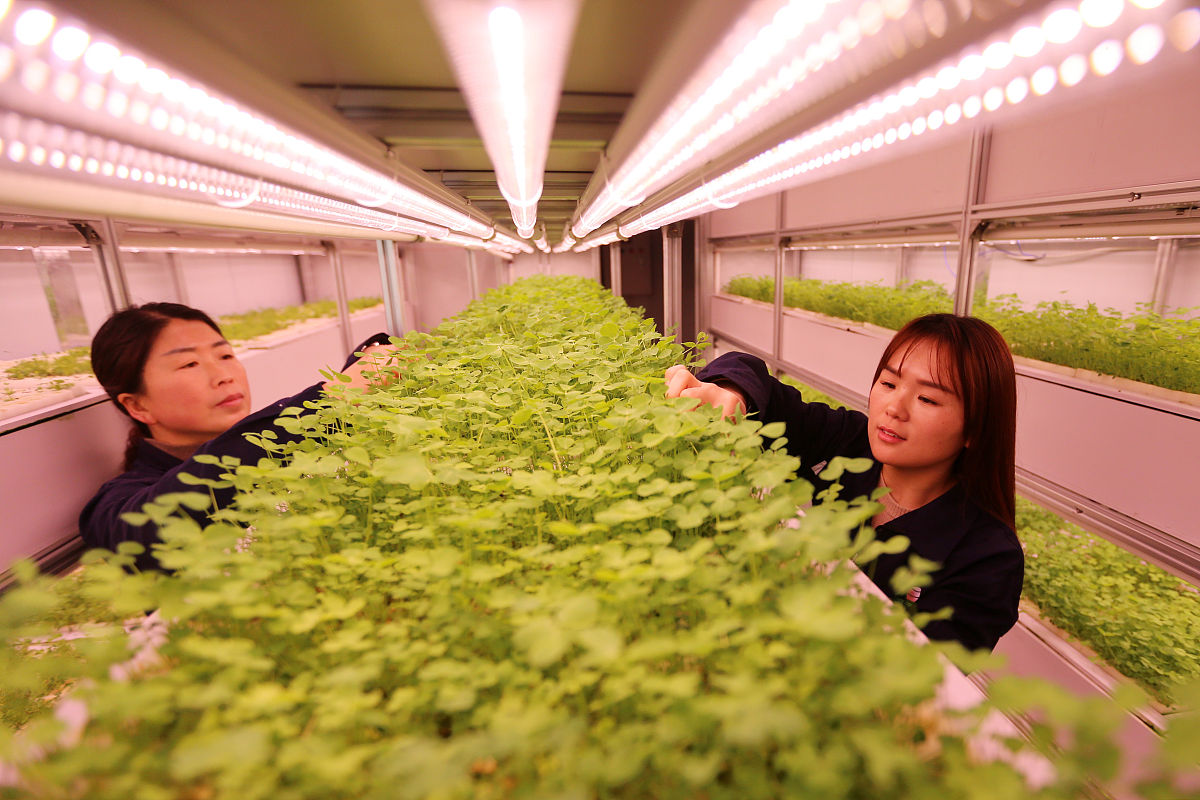 重庆市农业机械化学校农村经济综合管理专业就业前景分析