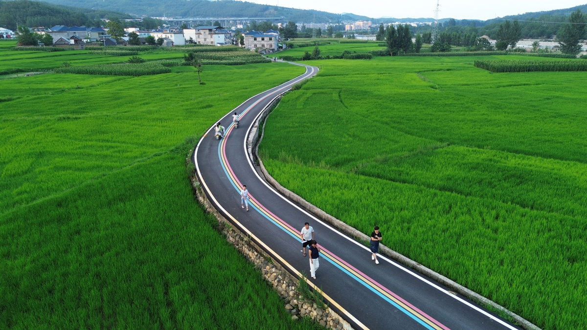 最美公路人新闻稿的 题目