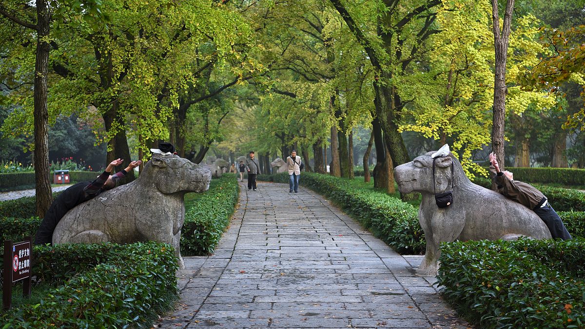 我校学生对台湾问题的认识调查研究