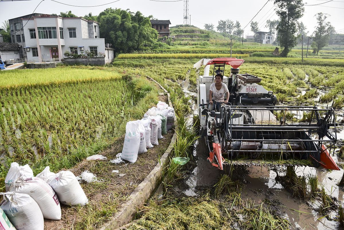 恭城瑶族自治县民族职业教育中心农业机械使用与维护专业：课程内容与就业前景