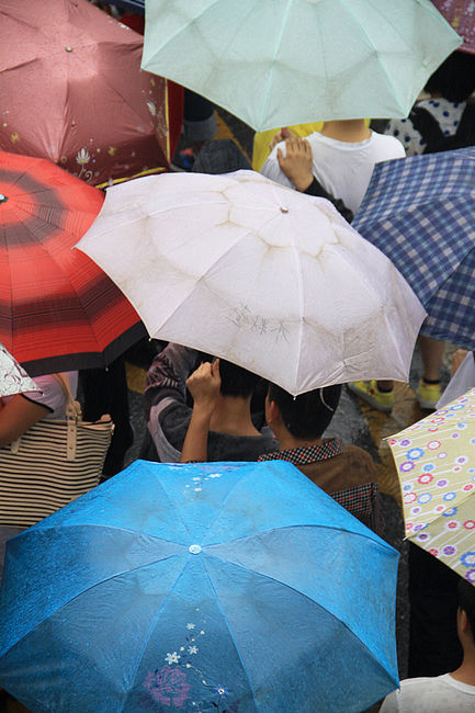 2013年06月07日,湖南省长沙市,家长们冒雨送考,雨伞排成了蘑菇墙.