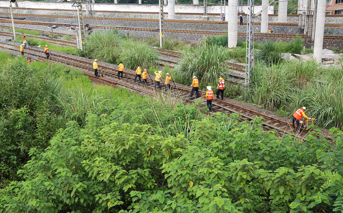 四川省铁路运输学校：铁路相关专业获绿牌认证，毕业生就业更具竞争力