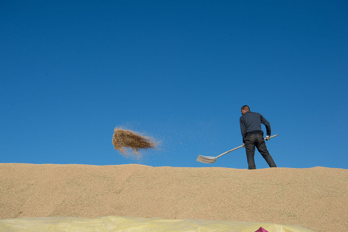 黑龙江农业职业技术学院宠物养护与驯导专业就业前景如何