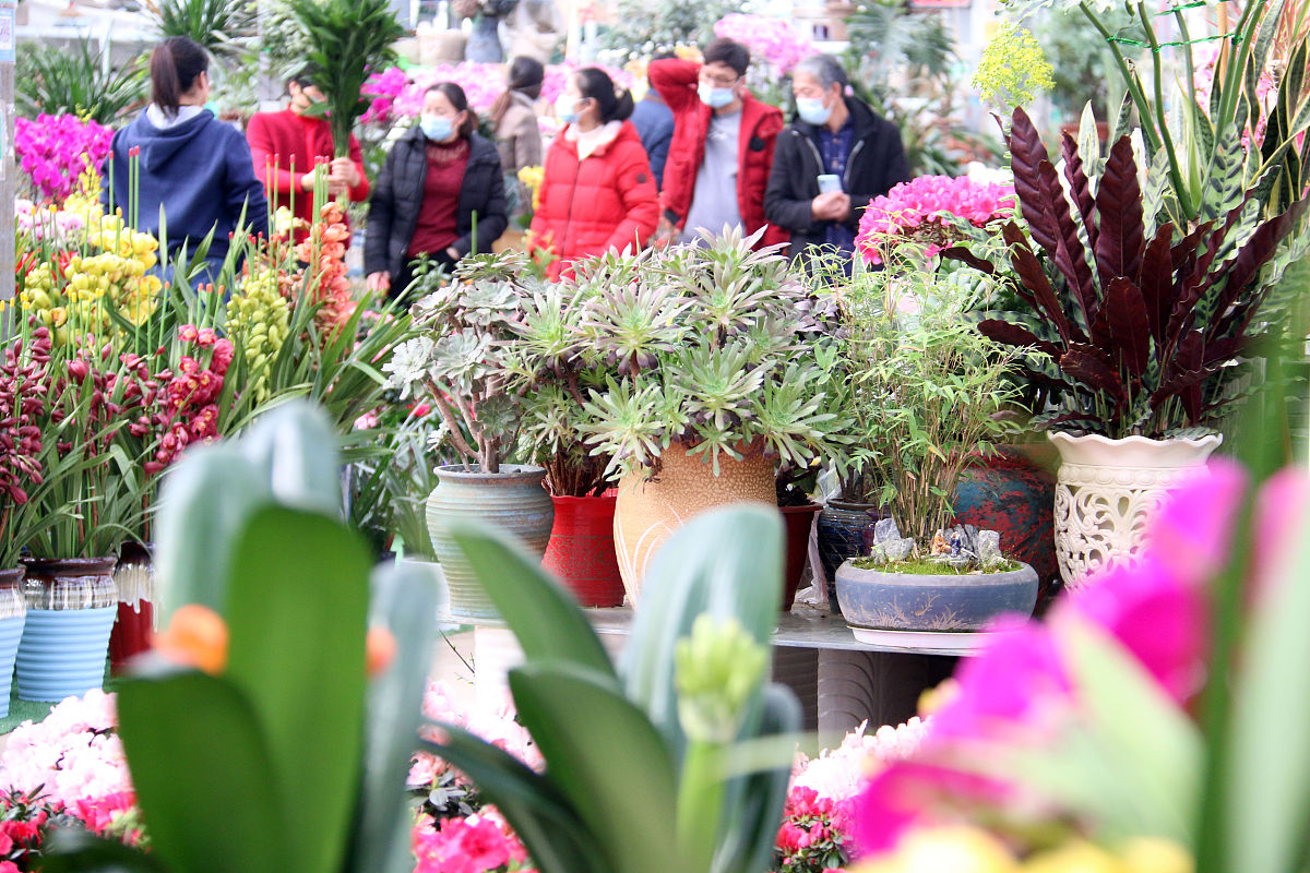 四川时代花木职业学校2022年招生简章 - 花卉产业人才培养基地