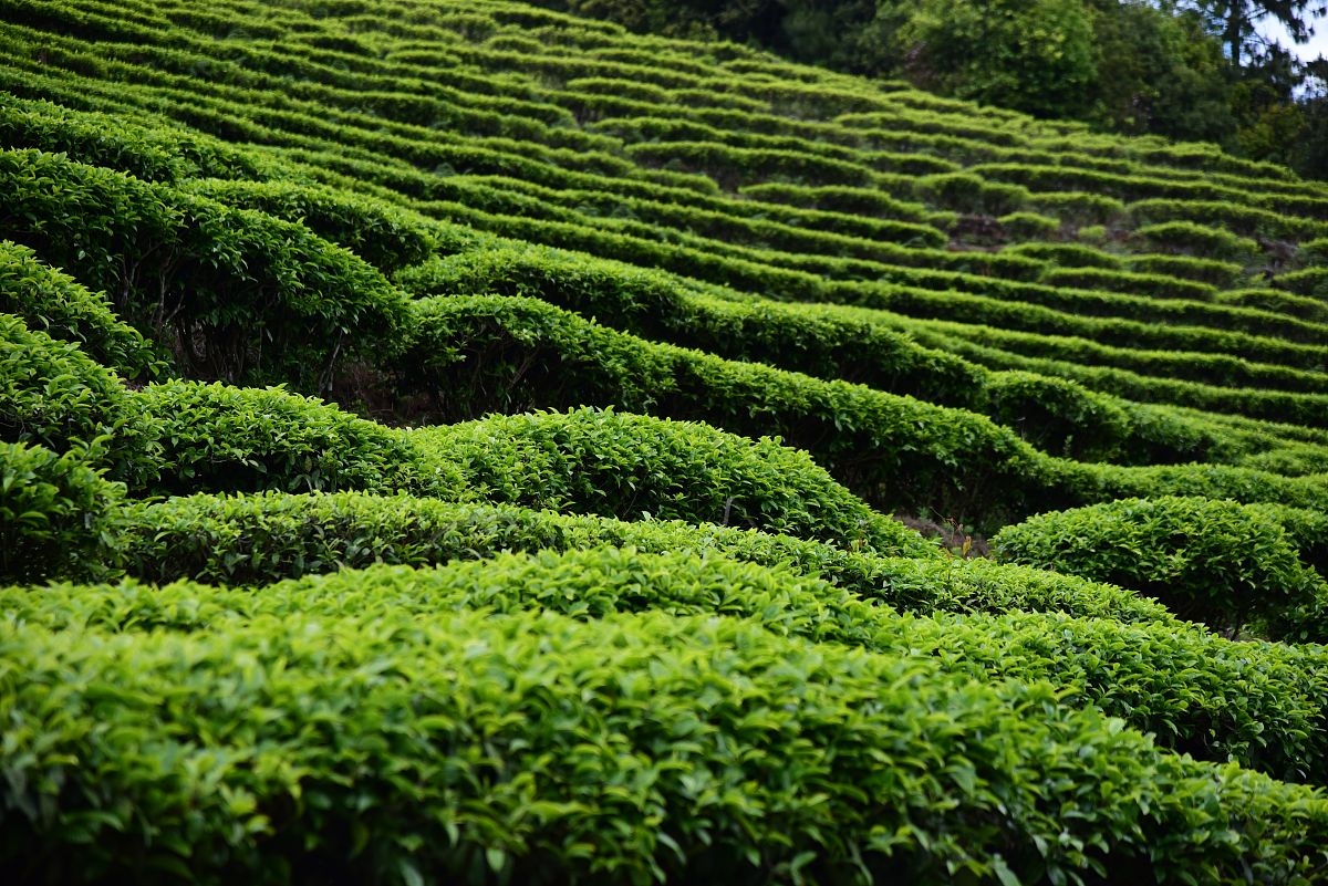 玉溪第二职业高级中学工艺美术专业2022年招生