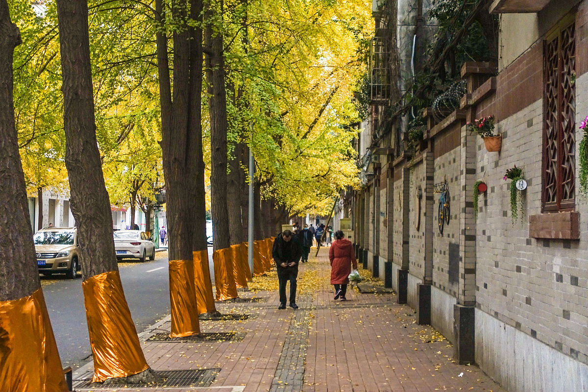 成都外语职业中专学校地址及交通路线 - 如何前往学校