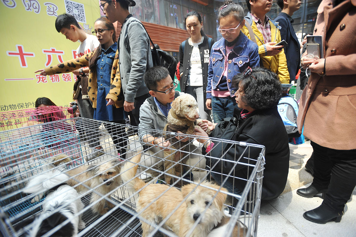 请把One of my positive experiences happened when I volunteered at a local animal shelter The shelter was overcrowded and under-resourced but the staff and volunteers were passionate about the well-being